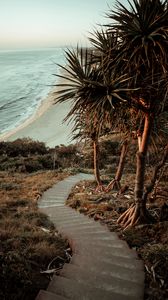 Превью обои пальмы, лестница, океан
