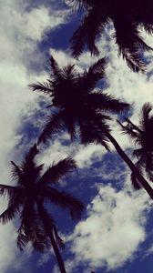 Превью обои пальмы, небо, облака, деревья, тропики