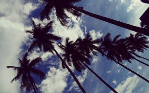 Превью обои пальмы, небо, облака, деревья, тропики