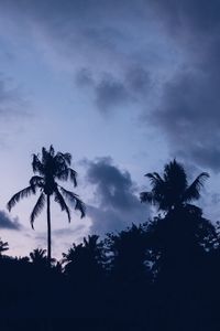 Превью обои пальмы, ночь, облака