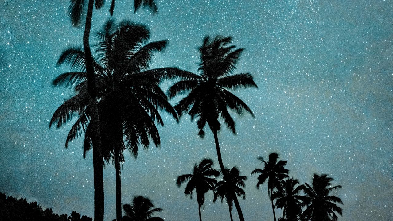 Обои пальмы, ночь, звездное небо, темный, млечный путь