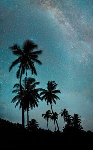 Превью обои пальмы, ночь, звездное небо, темный, млечный путь