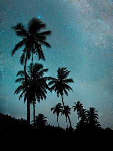 Превью обои пальмы, ночь, звездное небо, темный, млечный путь