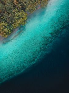 Превью обои пальмы, океан, вид сверху, тропики, вода