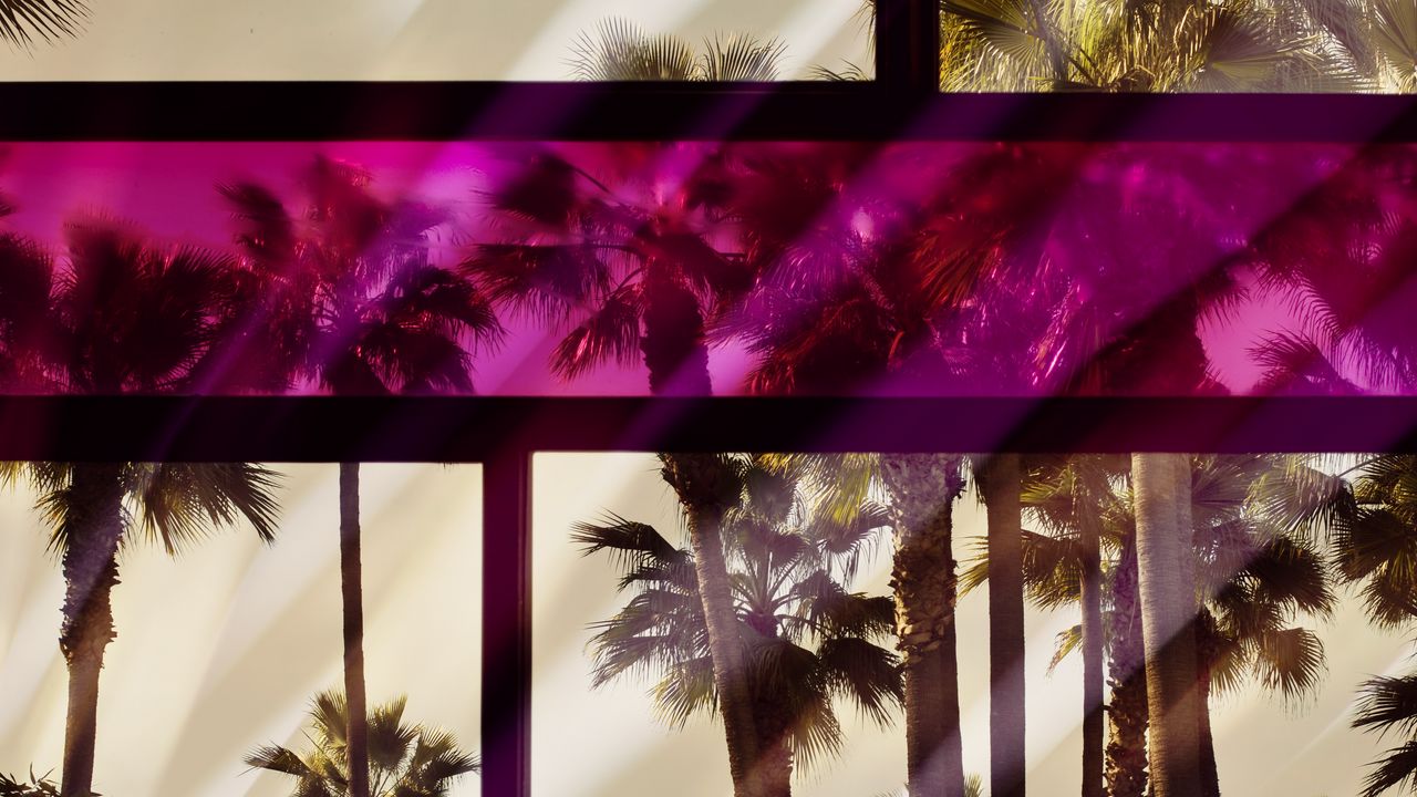 Обои пальмы, окно, стекло, рама, цветной, отражение