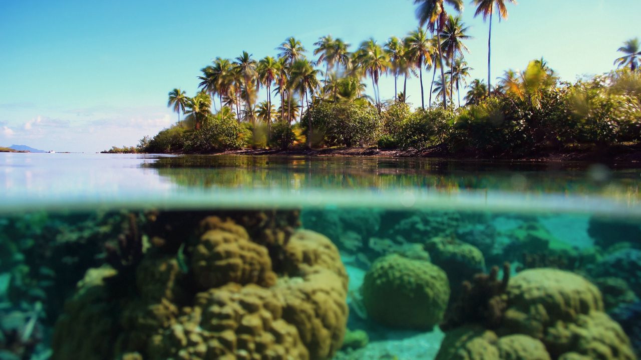Обои пальмы, остров, под водой, кораллы, рифы, лазурь
