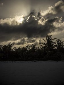 Превью обои пальмы, пляж, облака, темный