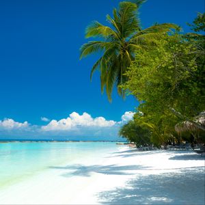 Превью обои пальмы, пляж, океан, тропики, побережье, рай