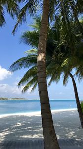 Превью обои пальмы, пляж, океан, тропики, природа