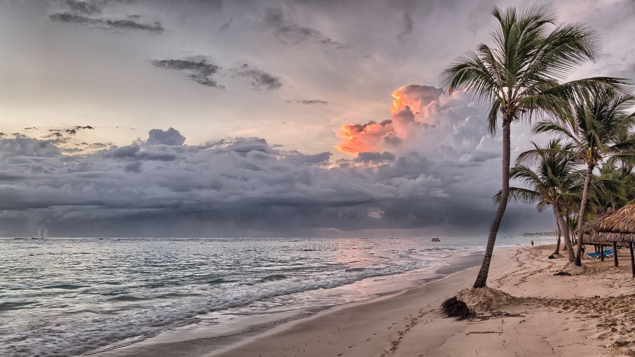 Обои пальмы, пляж, песок, тропики, доминиканская республика