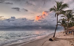 Превью обои пальмы, пляж, песок, тропики, доминиканская республика