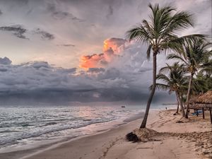 Превью обои пальмы, пляж, песок, тропики, доминиканская республика