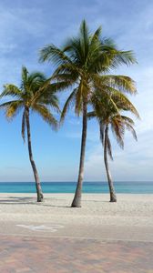 Превью обои пальмы, пляж, песок, тропики, океан