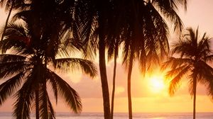 Превью обои пальмы, солнце, пляж, море