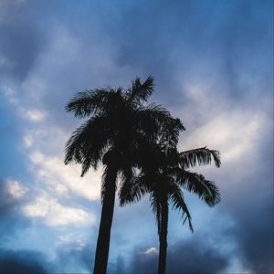 Превью обои пальмы, темный, силуэты, небо, облака