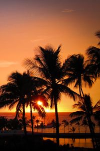 Превью обои пальмы, закат, гавайи, тропики, океан, горизонт