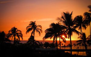 Превью обои пальмы, закат, гавайи, тропики, океан, горизонт