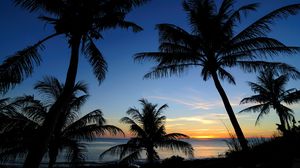 Превью обои пальмы, закат, море, очертания, тропики