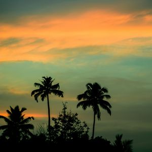 Превью обои пальмы, закат, небо