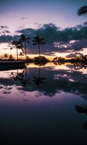 Превью обои пальмы, закат, вода, отражение
