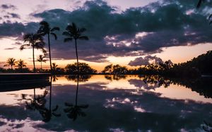 Превью обои пальмы, закат, вода, отражение