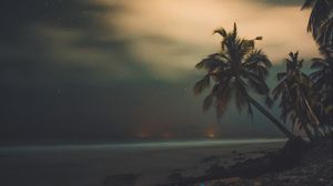 Превью обои пальмы, звездное небо, берег, ночь, тропики