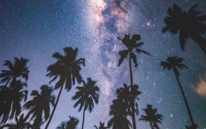 Превью обои пальмы, звездное небо, млечный путь, звезды, ночь, мальдивы