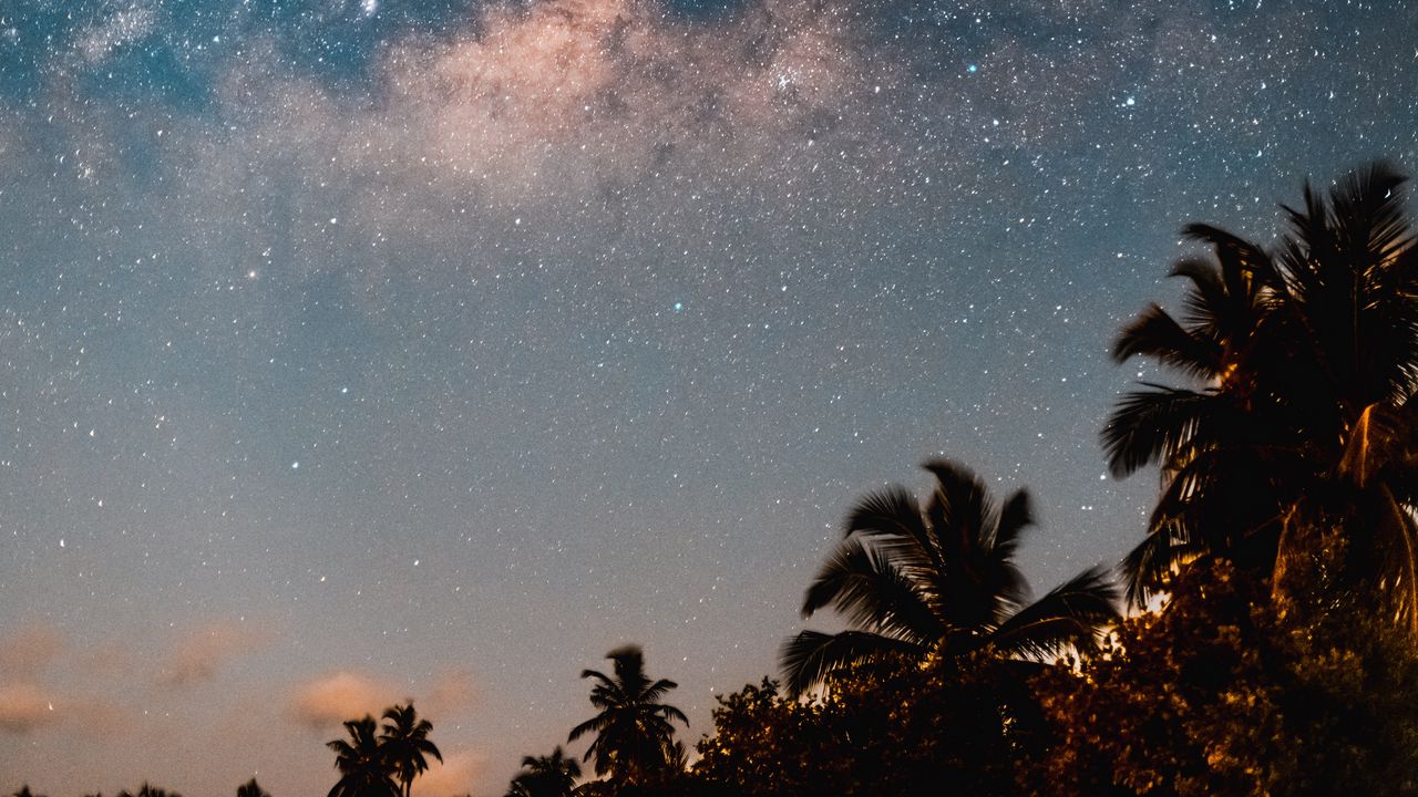 Обои пальмы, звездное небо, ночь, темный, деревья