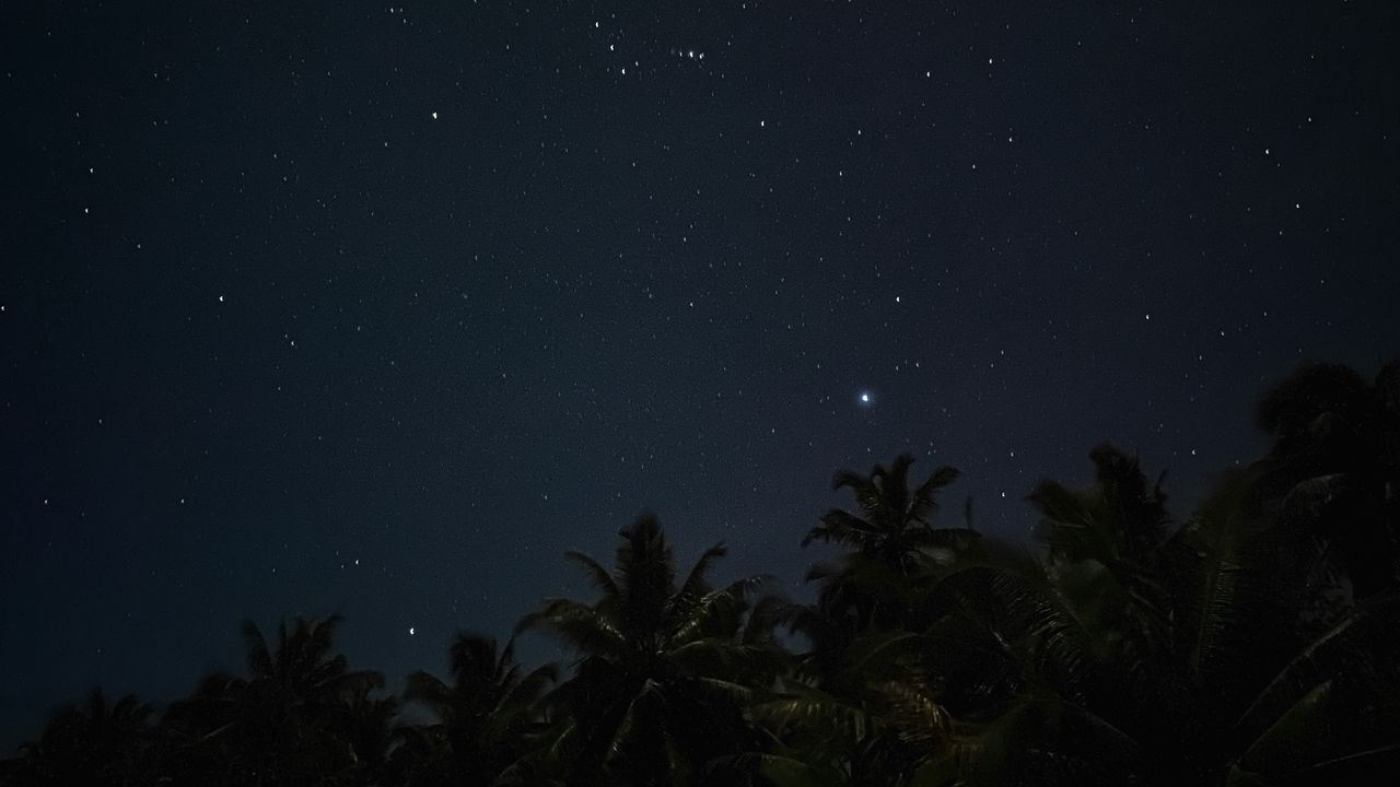 Обои пальмы, звездное небо, ночь, звезды, темный