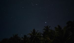Превью обои пальмы, звездное небо, ночь, звезды, темный