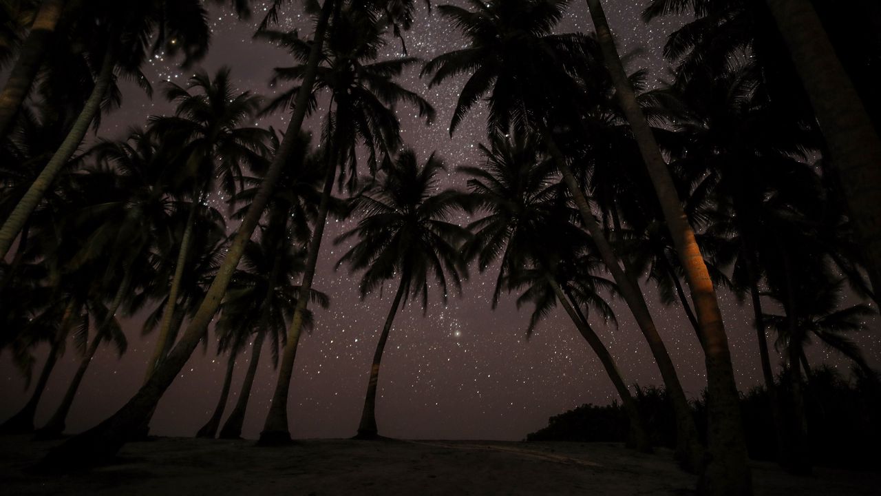 Обои пальмы, звездное небо, тропики, мальдивы, ночь