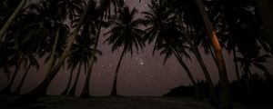 Превью обои пальмы, звездное небо, тропики, мальдивы, ночь