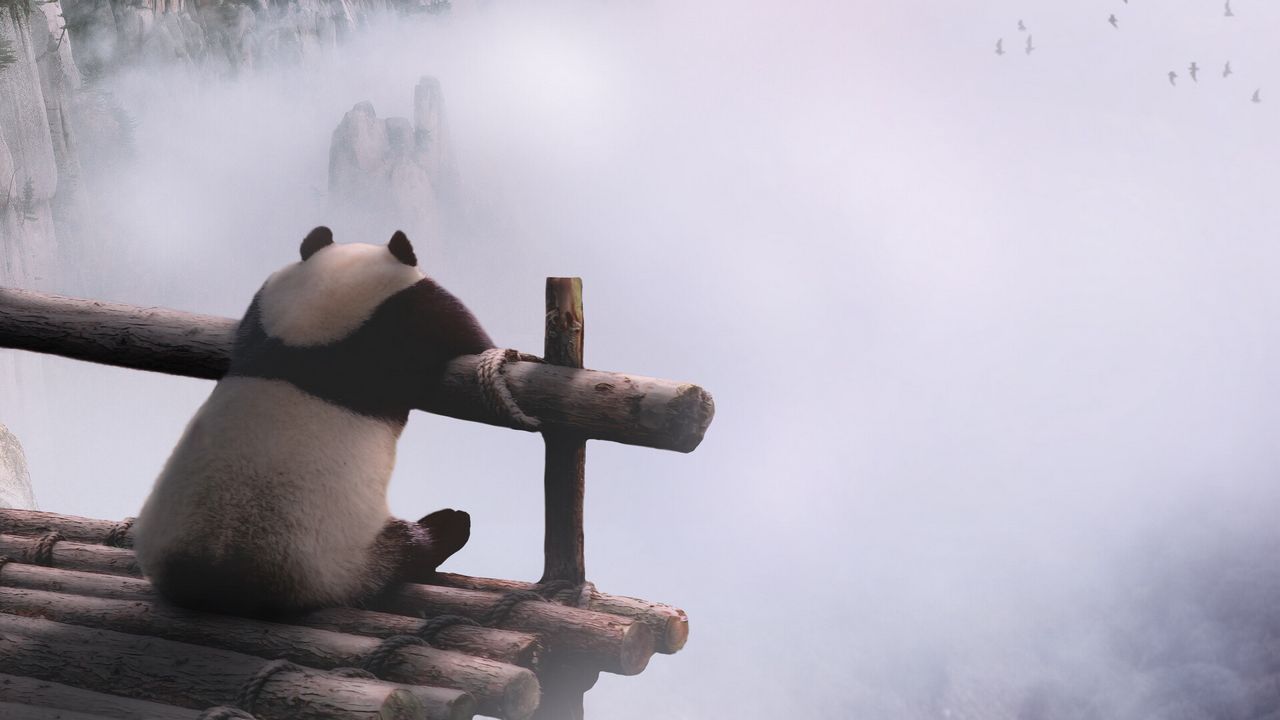 Обои панда, горы, туман, облака, природа