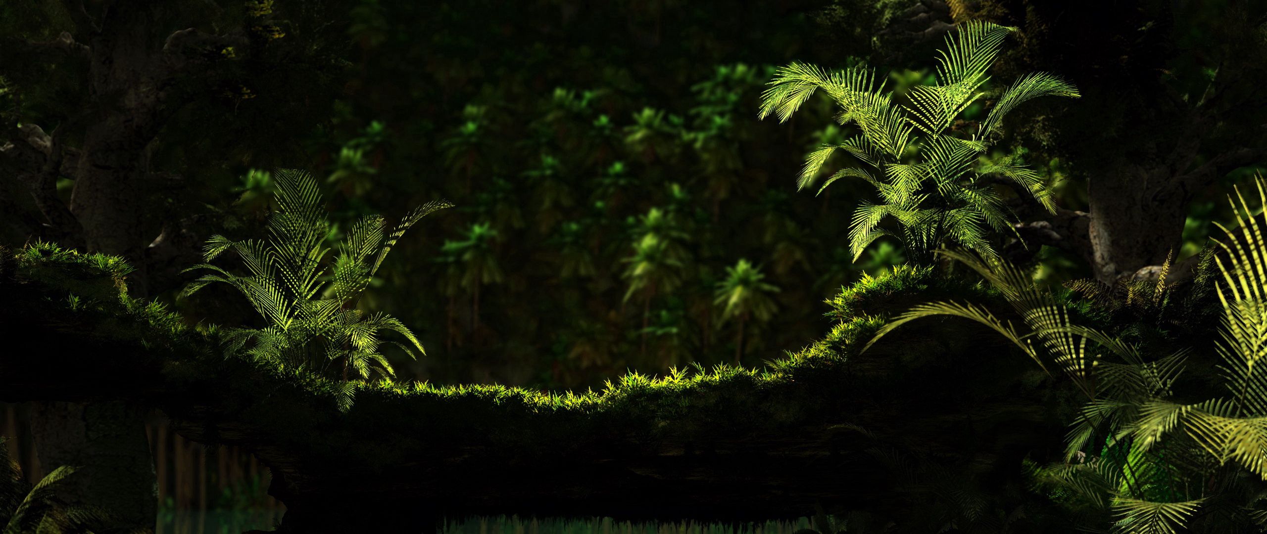 Jungle download. Тропический лес. Листья джунгли. Листва джунгли. Тропический лес ночью.