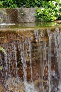 Превью обои папоротник, водопад, уступ, каменный