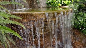 Превью обои папоротник, водопад, уступ, каменный