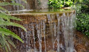 Превью обои папоротник, водопад, уступ, каменный