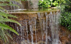 Превью обои папоротник, водопад, уступ, каменный