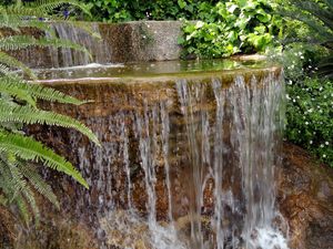 Превью обои папоротник, водопад, уступ, каменный