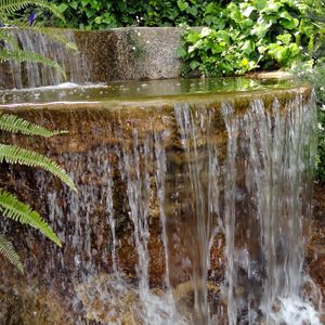 Превью обои папоротник, водопад, уступ, каменный