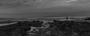 Превью обои пара, силуэты, побережье, черно-белый