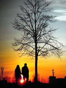 Превью обои пара, силуэты, закат, прогулка, дерево