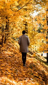 Превью обои парень, пальто, одиночество, парк, деревья, листья, осень