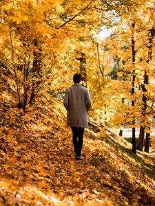 Превью обои парень, пальто, одиночество, парк, деревья, листья, осень