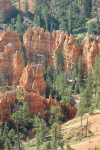 Превью обои парк, bryce canyon utah, природа