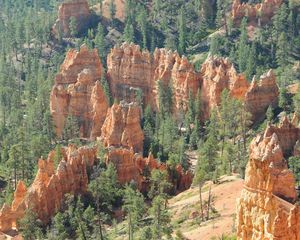 Превью обои парк, bryce canyon utah, природа