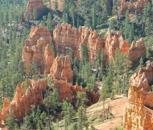 Превью обои парк, bryce canyon utah, природа