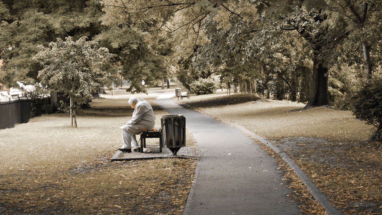Обои парк, человек, пожилой, скамейка, сидеть, деревья, одиночество