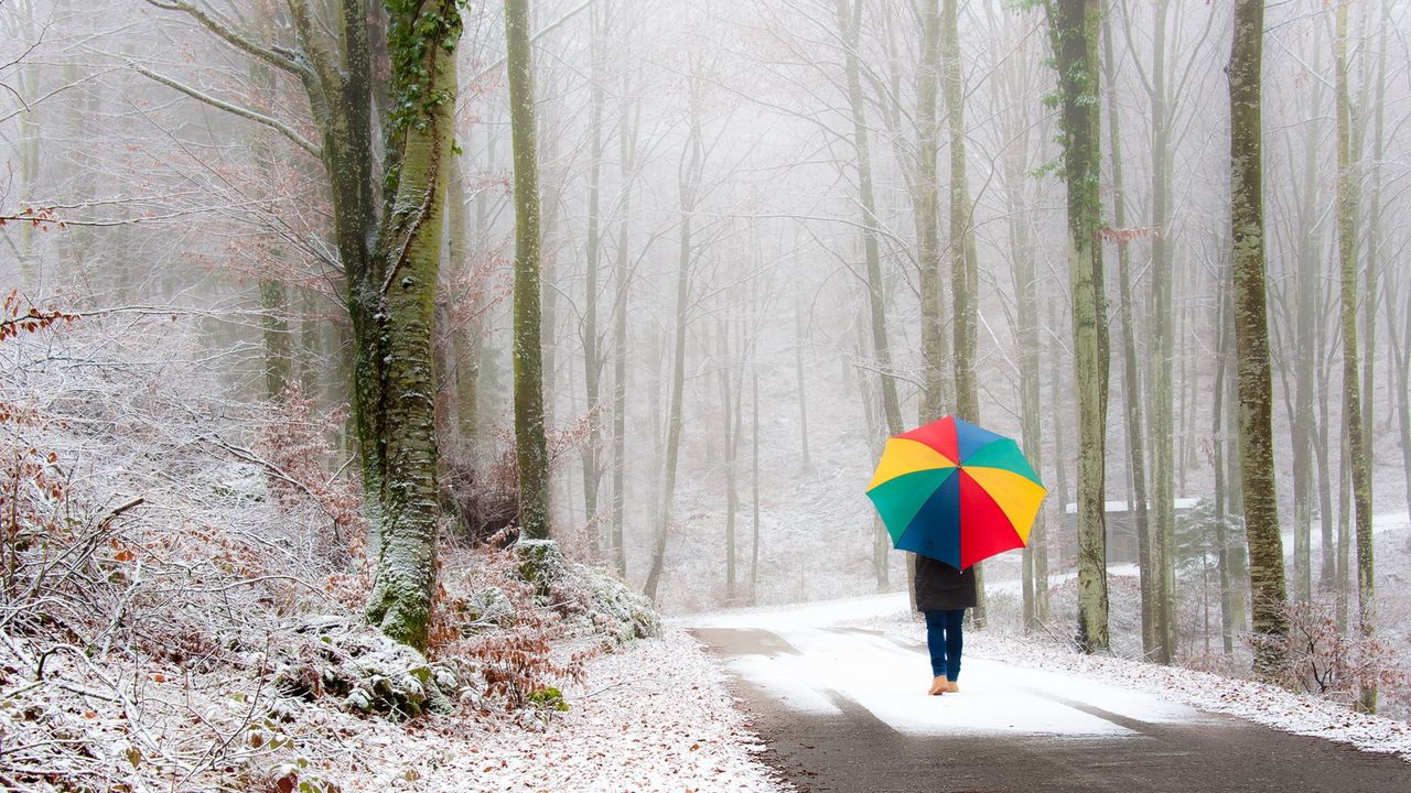 Обои парк, человек, зонт, снег, дорога, туман, прогулка