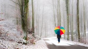 Превью обои парк, человек, зонт, снег, дорога, туман, прогулка